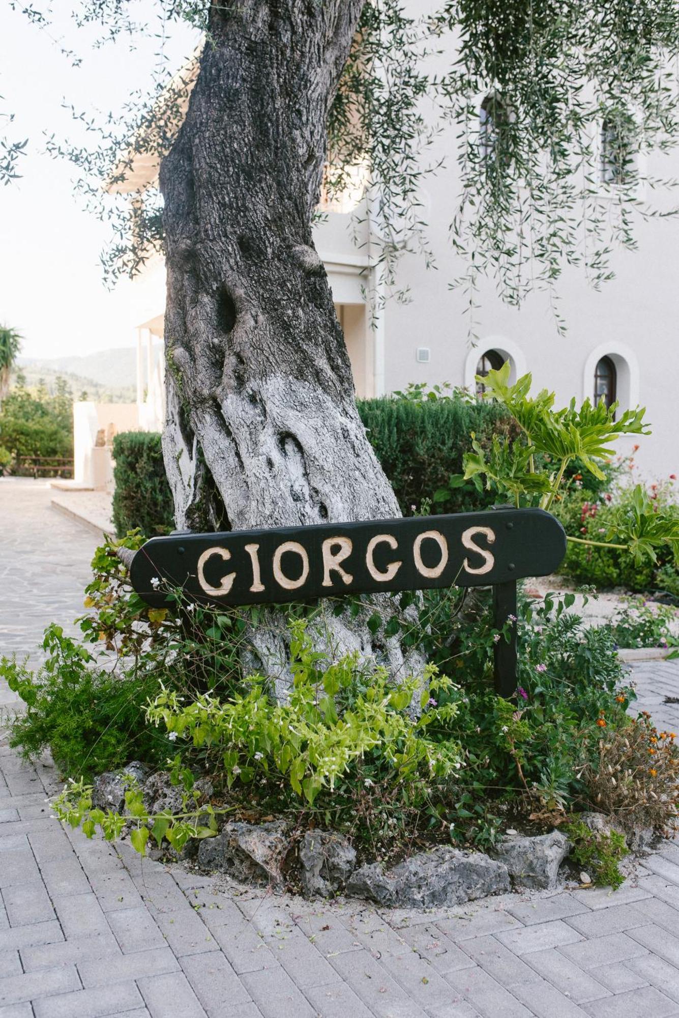 Giorgos Apartments Dassia  Dış mekan fotoğraf